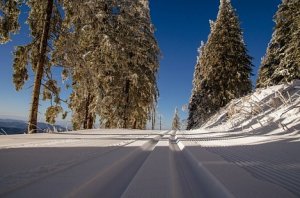 В Удмуртии построят лыжную базу к началу зимних сельских игр